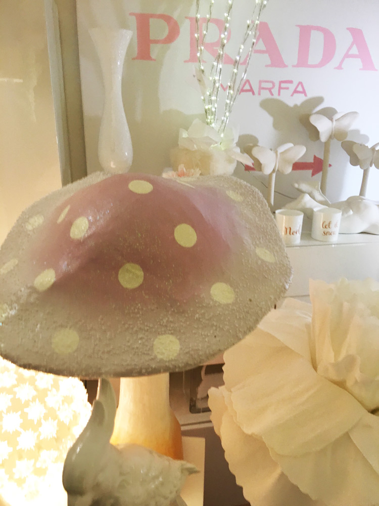 Schönes zum Träumen